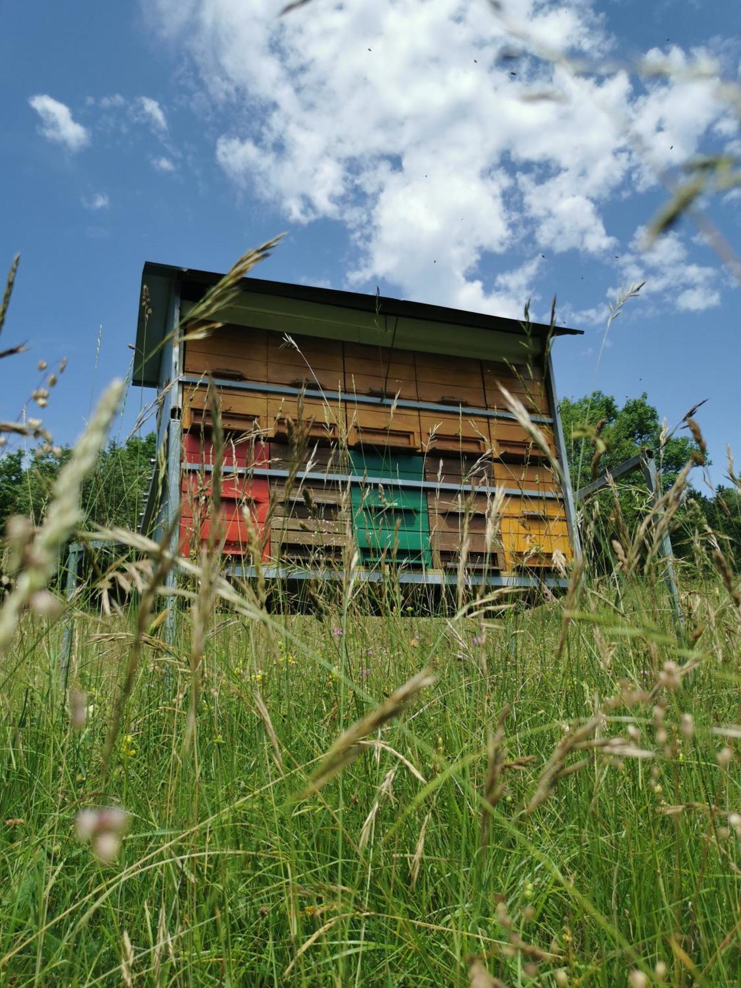 Farm Stay Pri Cepcovih Golac Exterior foto